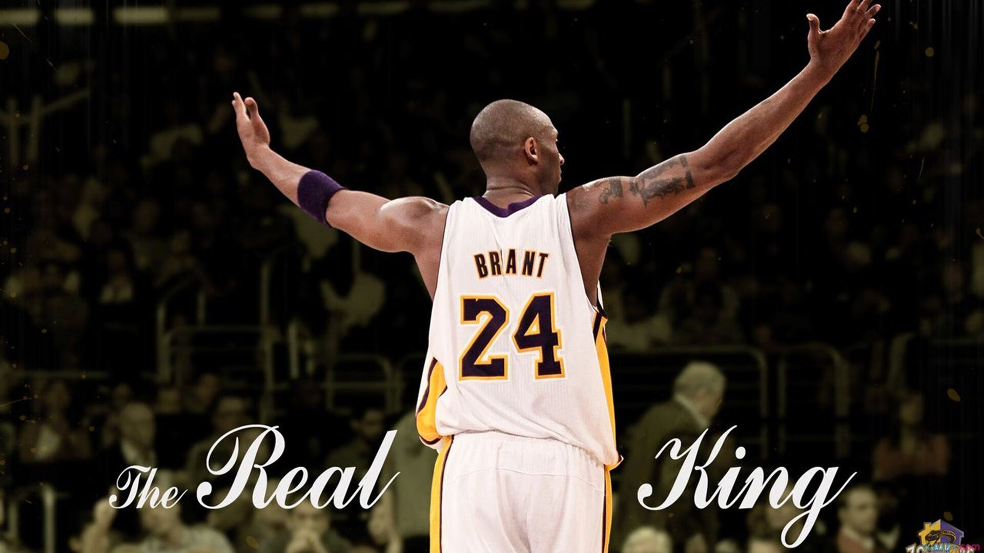 湖人之王加冕夜,詹姆斯末节19分接管比赛,雄鹿在沉默中溃败